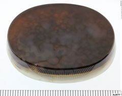 Foto von Quarz (Chalcedon, Achat, Onyx) (NHMW-MIN-Au877)